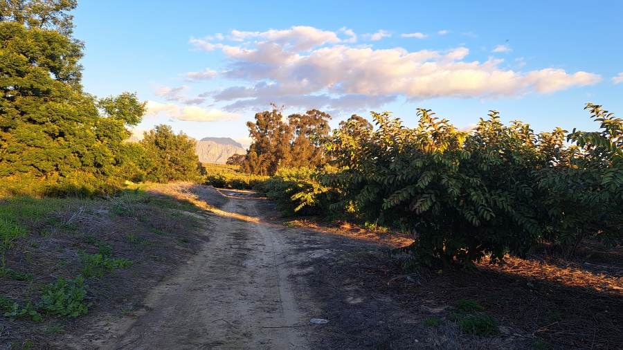 4 Bedroom Property for Sale in Paarl Rural Western Cape